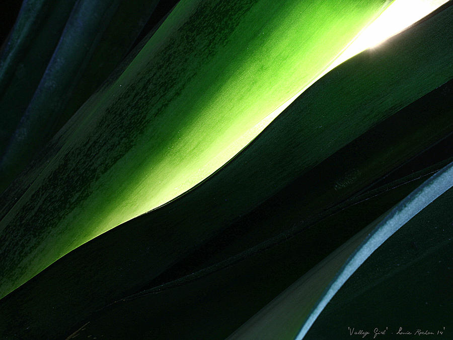 Valley Girl Photograph by Louie Rochon - Fine Art America