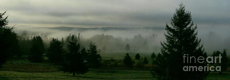 Mist Photograph - Valley in the Mist by Teresa A Lang