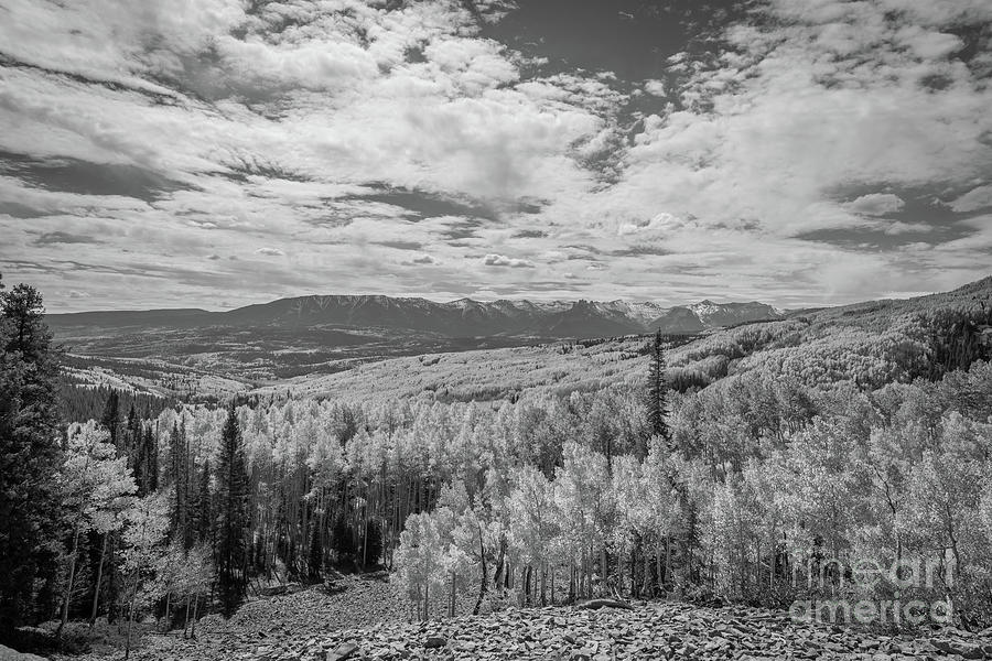 Valley Of Color in BW  Photograph by Michael Ver Sprill