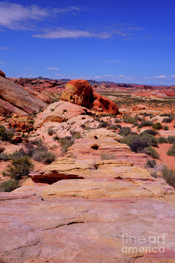 Valley of Fire 2 Photograph by Denise Bruchman