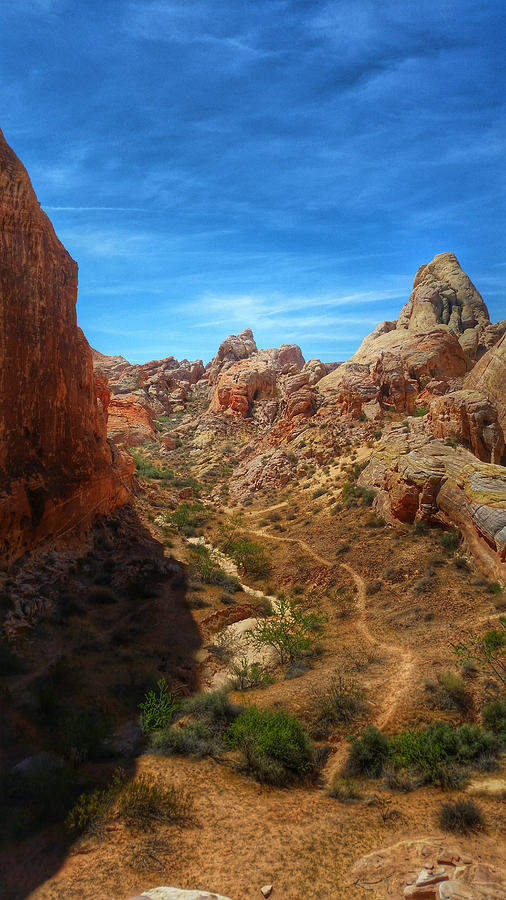 Valley of Fire 4 Photograph by Brook Burling