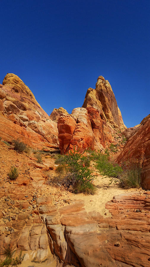 Valley of Fire 6 Photograph by Brook Burling