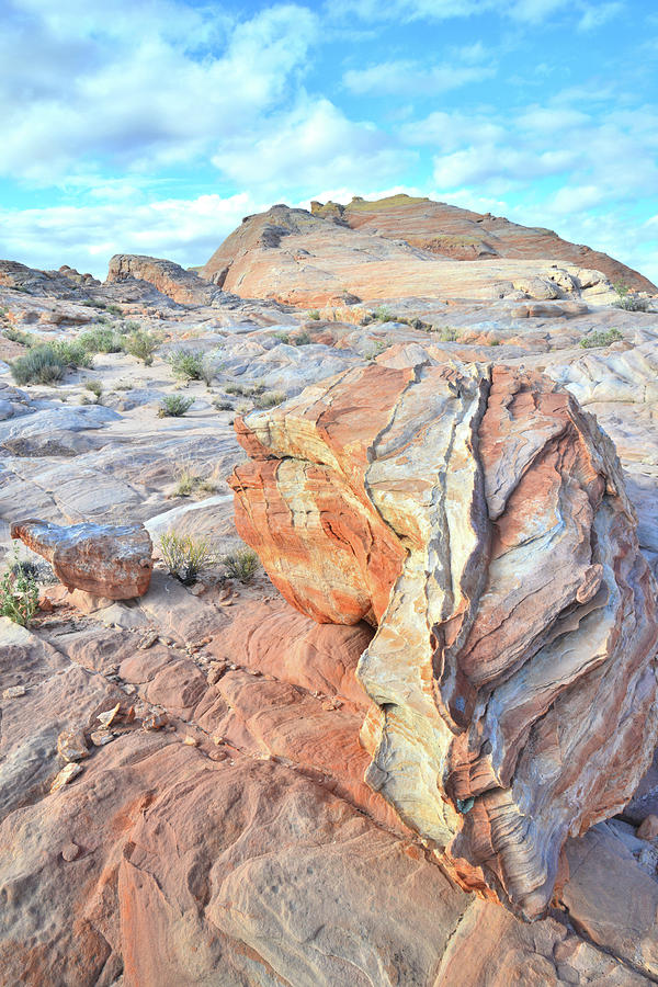 Valley of Fire Alien Boulder Photograph by Ray Mathis