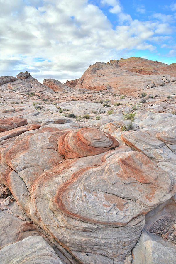 Valley of Fire Beehives Photograph by Ray Mathis