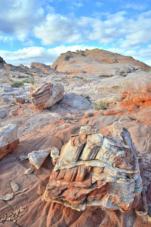 Valley of Fire Boulders Photograph by Ray Mathis