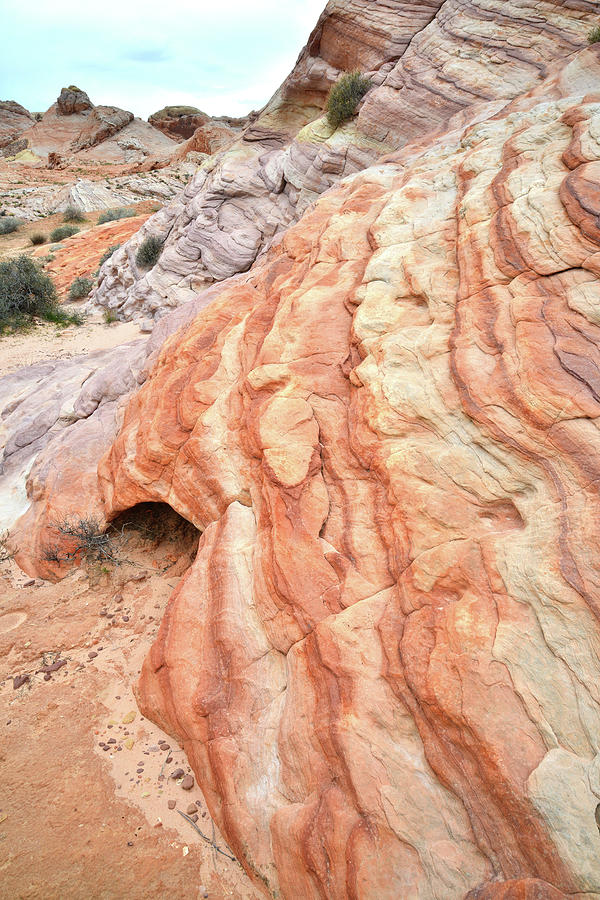 Valley of Fire Color Ripples Photograph by Ray Mathis