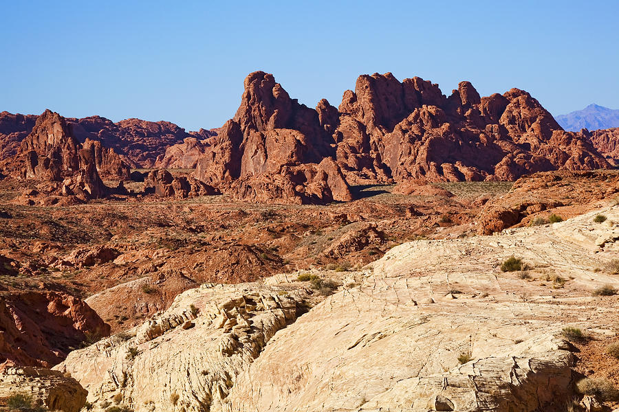 Valley of Fire Contrast Photograph by Kelley King