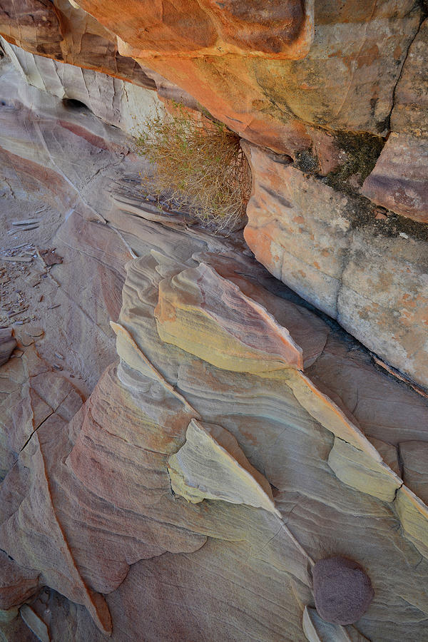 Valley of Fire Cove of Color Photograph by Ray Mathis
