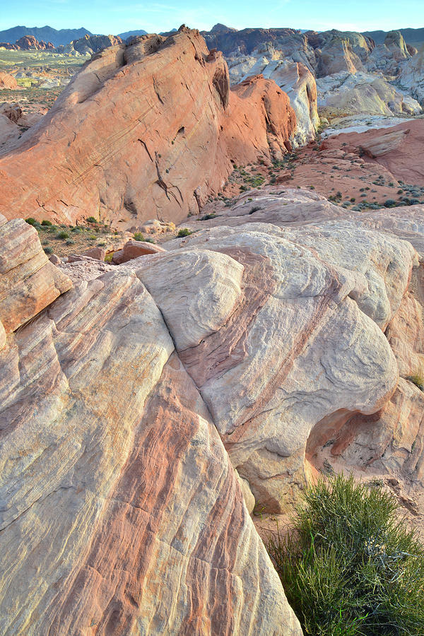 Valley of Fire Crests of Color Photograph by Ray Mathis