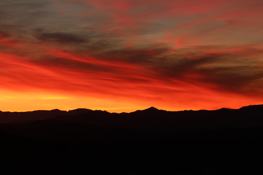 Valley of Fire Photograph by Darlene Neisess - Fine Art America