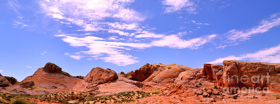 Valley of Fire Photograph by Denise Bruchman