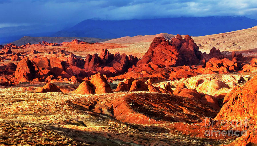 Valley Of Fire Evening Light Photograph by Bob Christopher