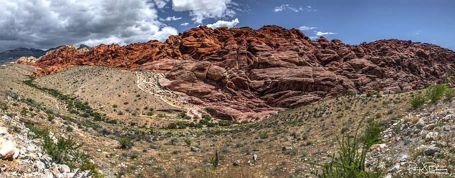 Valley of Fire III Photograph by Patrick Boening