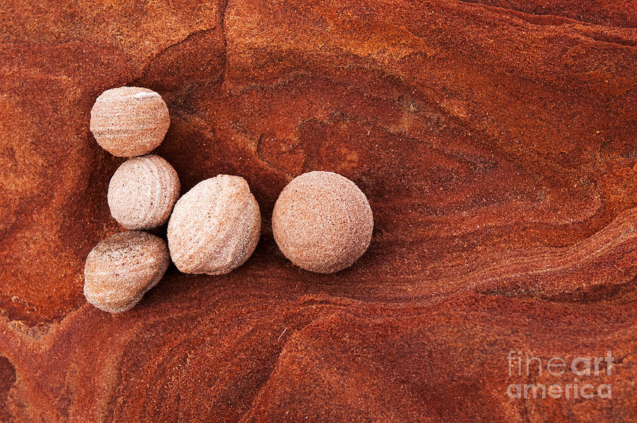 Valley Of Fire Indian Marbles  Photograph by Bob Christopher