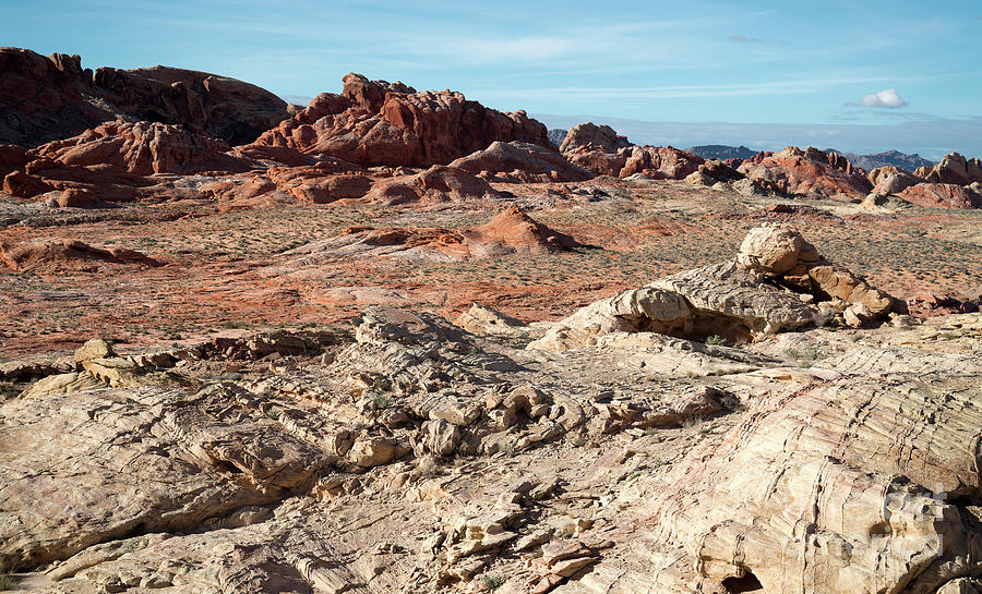 Valley of Fire Photograph by Patrick McGill