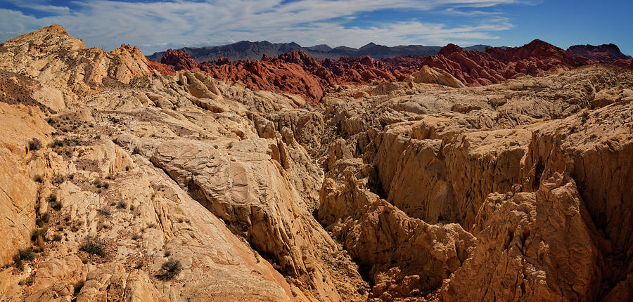 Valley Of Fire Photograph by Ricky Barnard