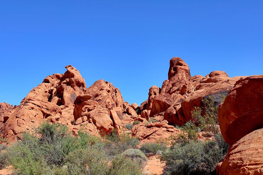 Valley of Fire  Photograph by Maria Jansson