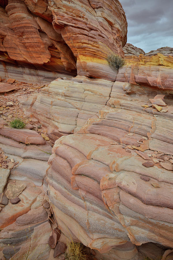 Valley of Fire Sandstone Colors Photograph by Ray Mathis