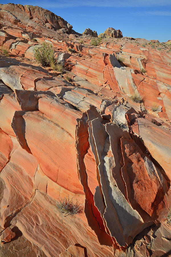 Valley of Fire Sandstone Staircase Photograph by Ray Mathis