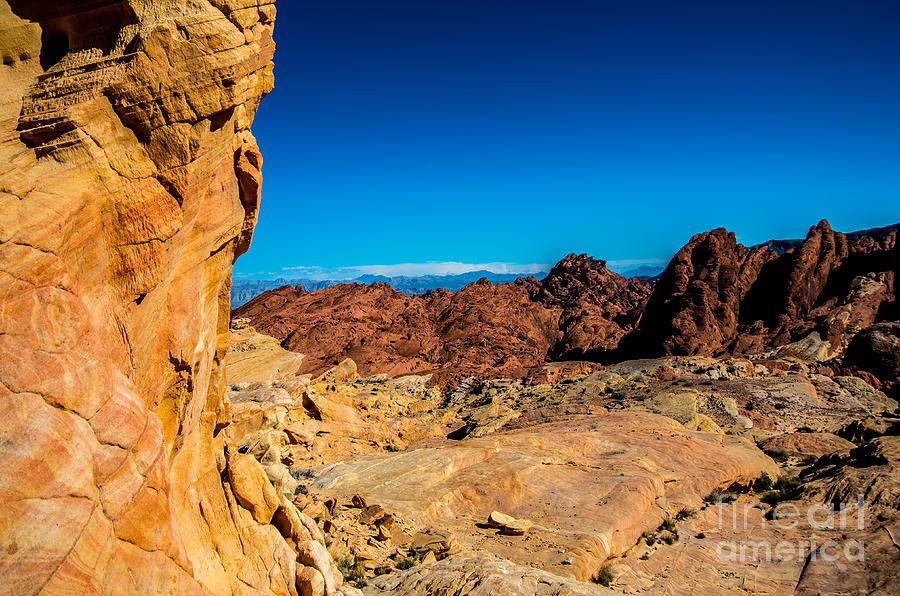Valley of Fire Photograph by Stephen Whalen