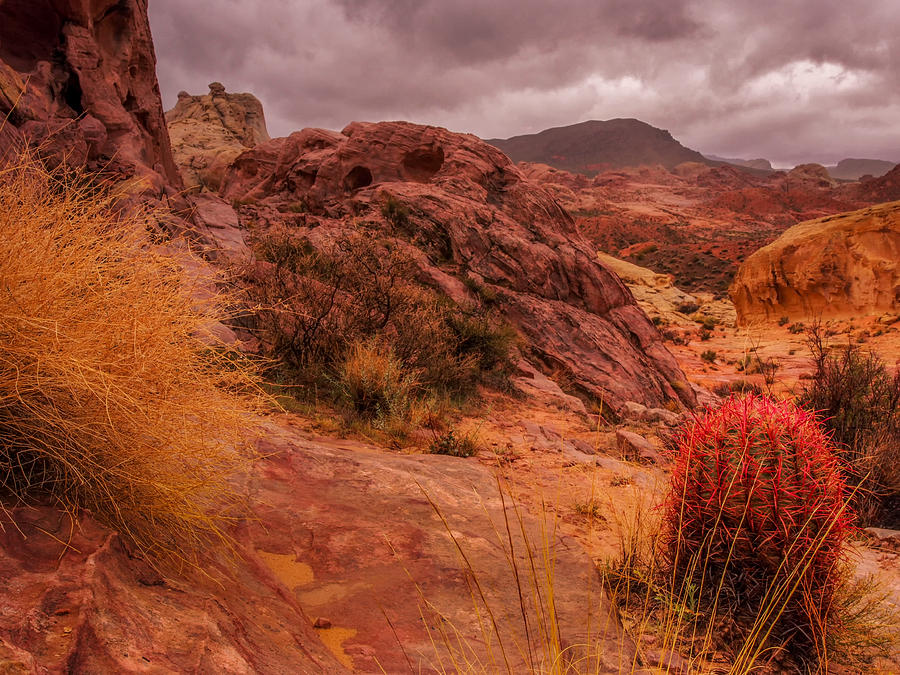 Valley Of Fire Storm Photograph