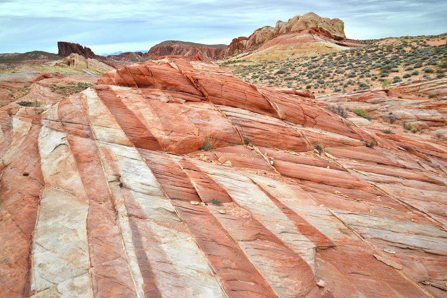 Valley of Fire Stripes of Color Photograph by Ray Mathis
