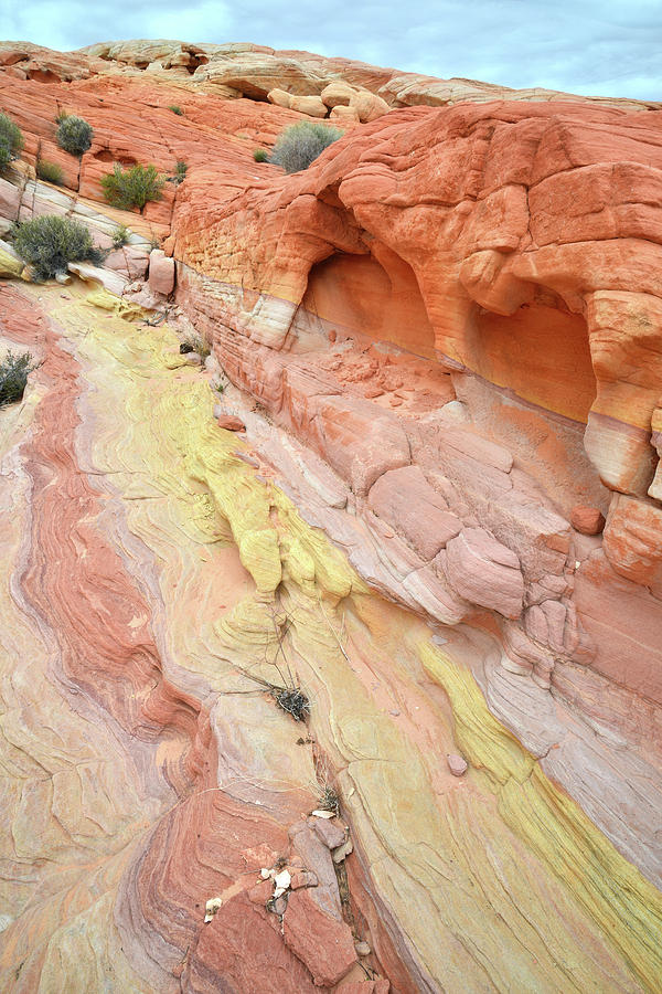 Valley of Fire Wash of Color Photograph by Ray Mathis