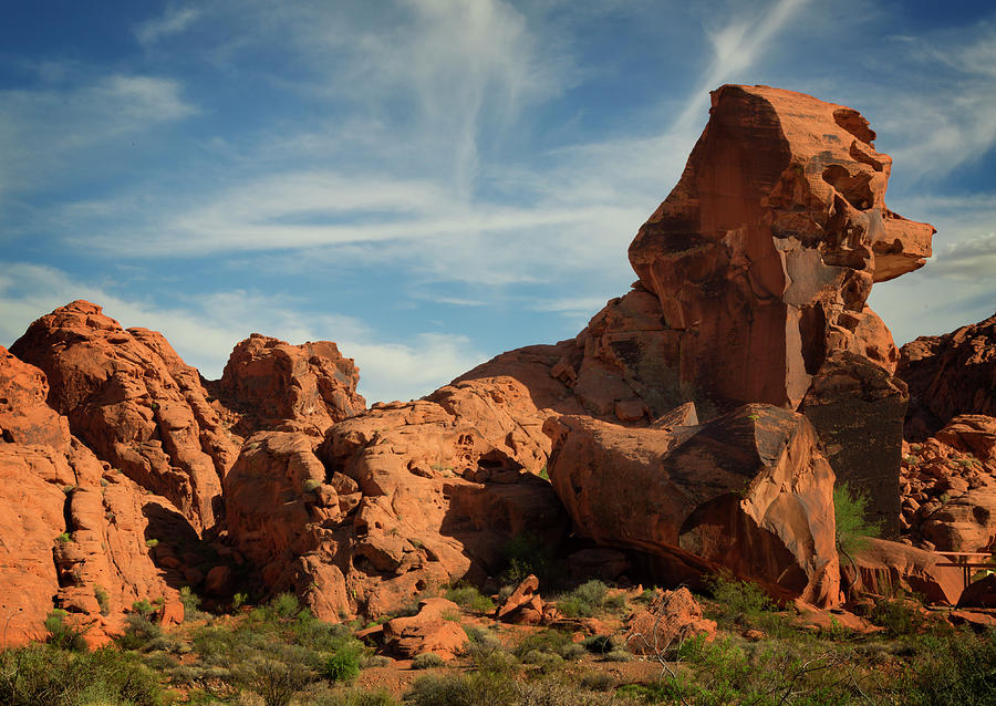 Valley Of Fire X Photograph by Ricky Barnard