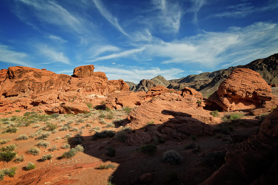 Nature Photograph - Valley Of Fire XI by Ricky Barnard