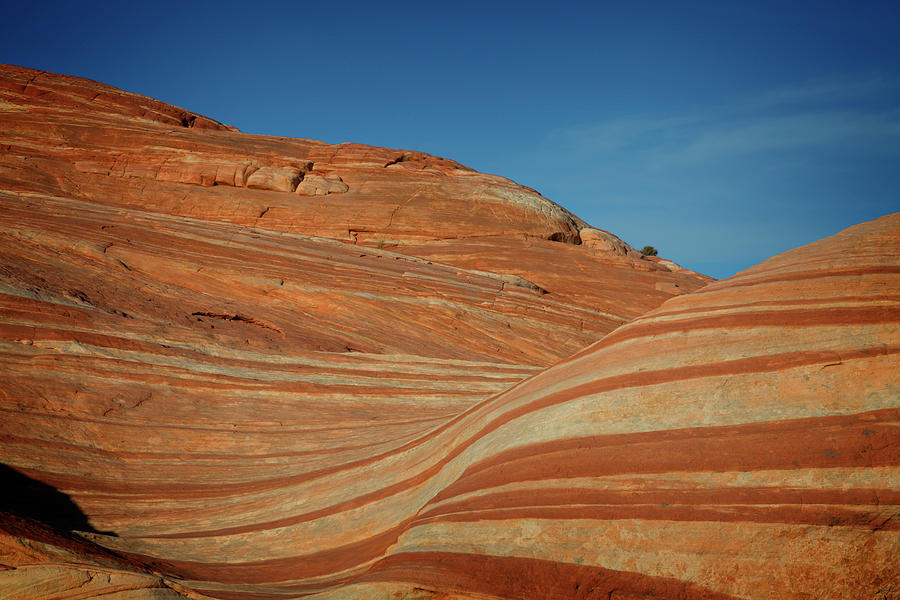 Valley Of Fire XVII Photograph by Ricky Barnard