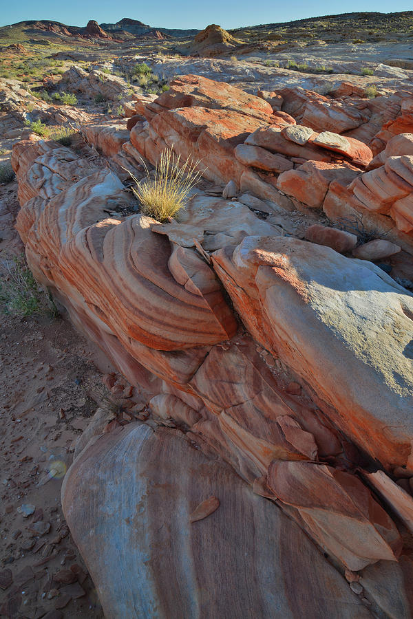 Valley of Fires Colorful Sandstone Photograph by Ray Mathis