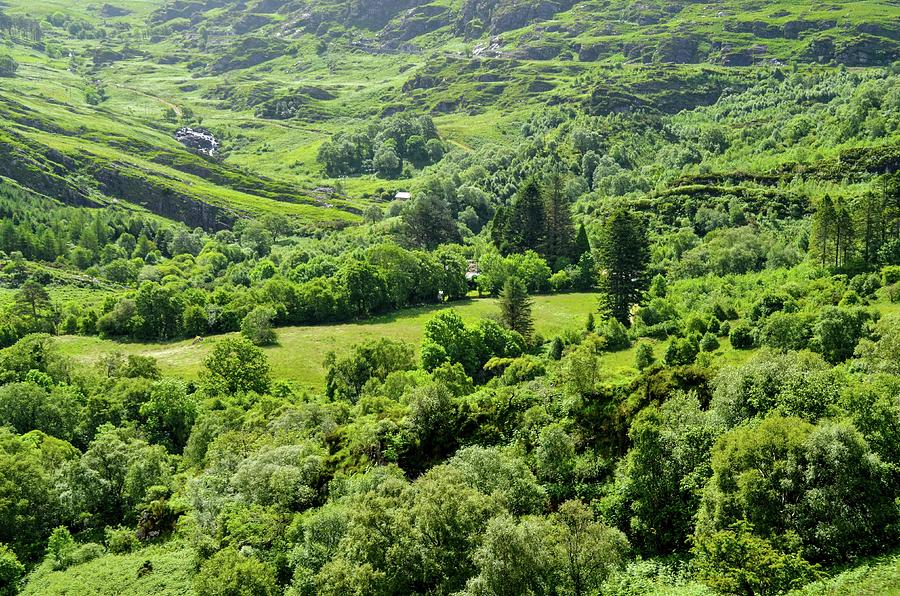 Valley Of Green Photograph by Joe Ormonde