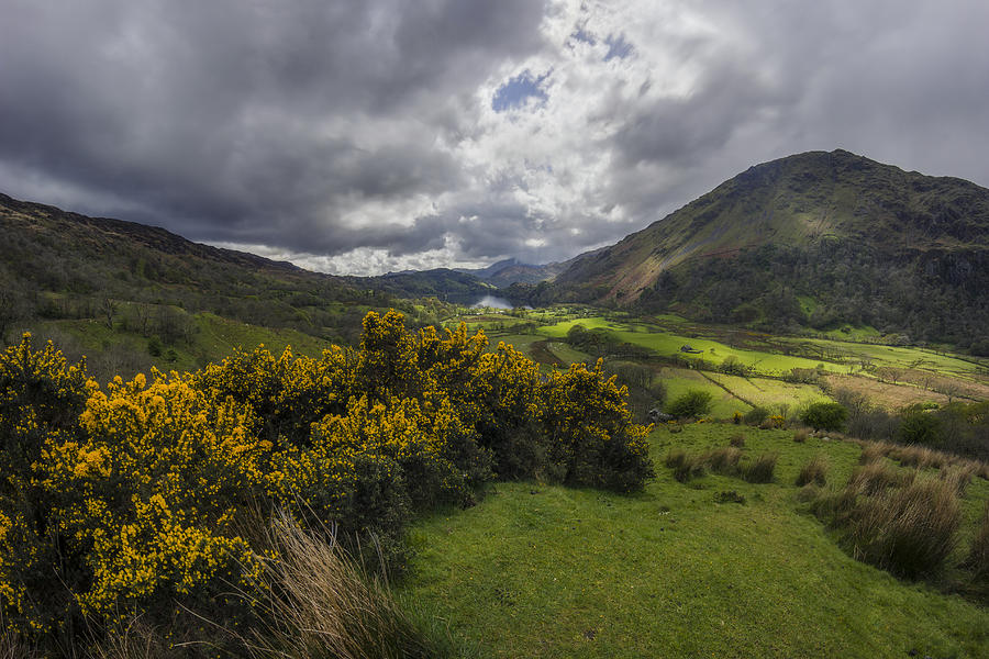 Tree Photograph - Valley Of Nant Gwynant by Ian Mitchell