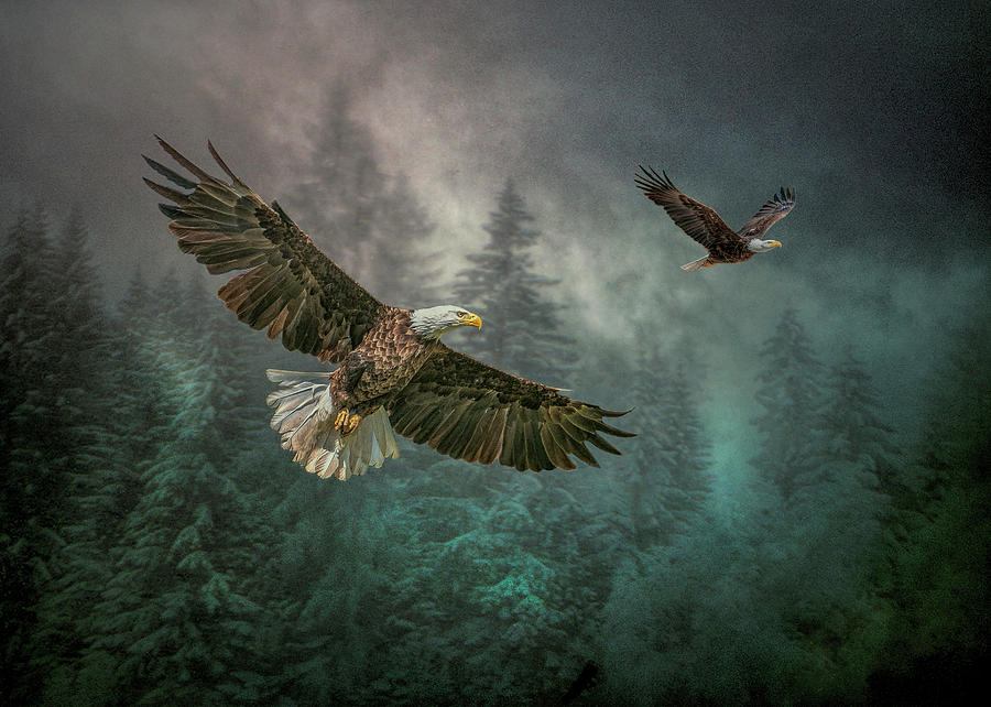 Valley of The Eagles. Photograph by Brian Tarr