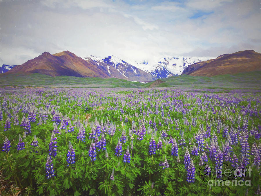 Mountain Painting - Valley of the Flowers by Eva Sawyer