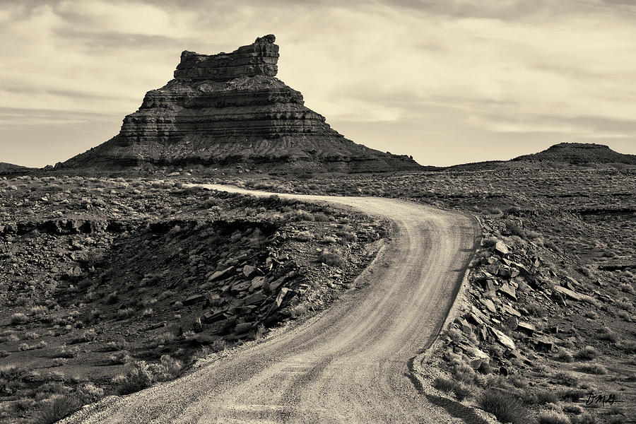 Valley of the Gods III Toned Photograph by David Gordon