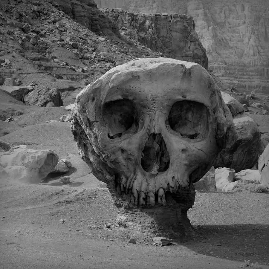 Skull Photograph - Valley of the Skulls I BW by David Gordon