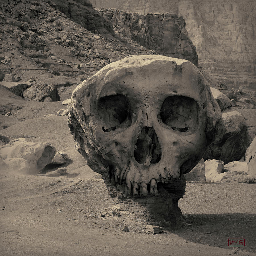 Skull Photograph - Valley of the Skulls I Toned by David Gordon
