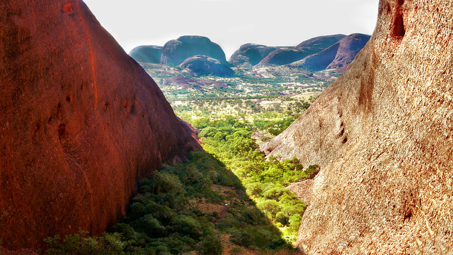 Valley of the Winds - Kata Tjuta Photograph by Lexa Harpell