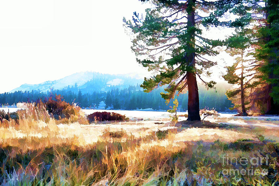Valley Paint Yosemite California  Photograph by Chuck Kuhn