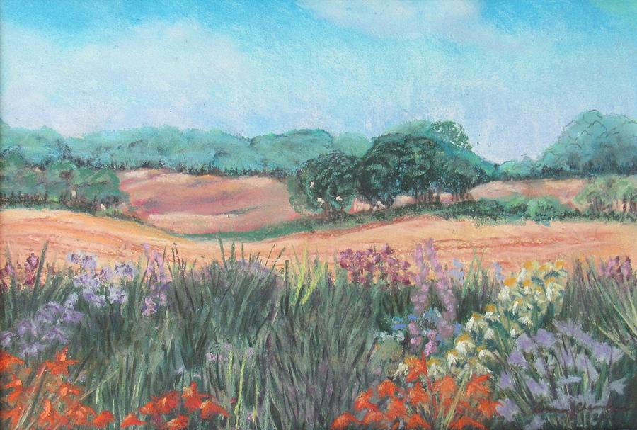 Valley Parkway Beauty Painting by Donna Chambers