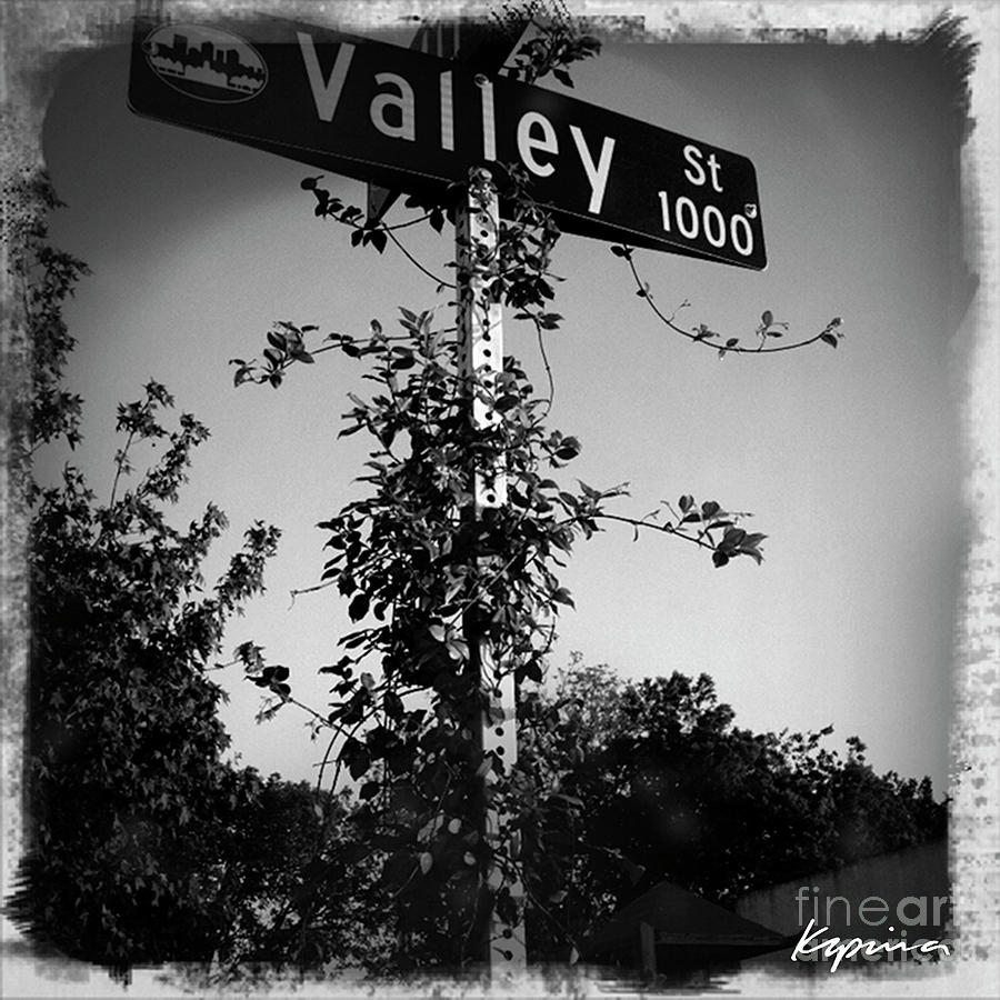 Valley Street, 1000 Block Photograph by Greg Kopriva