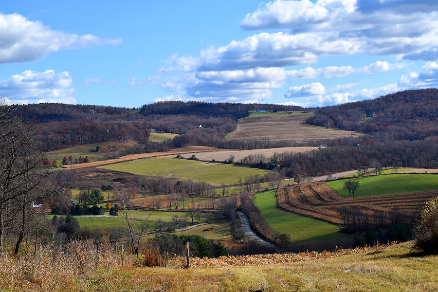 Valley View Dutchess County New York Photograph by Diane Lent