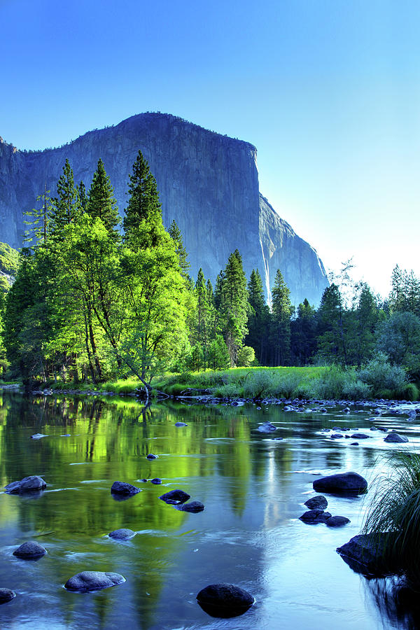 Yosemite National Park Photograph - Valley View Morning by Rick Berk