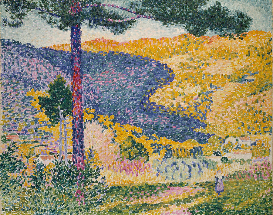 Valley with Fir. Shade on the Mountain Painting by Henri-Edmond Cross