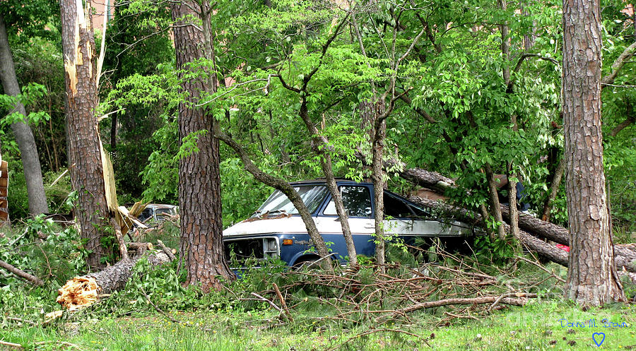 Van Damages Photograph by Donna Brown