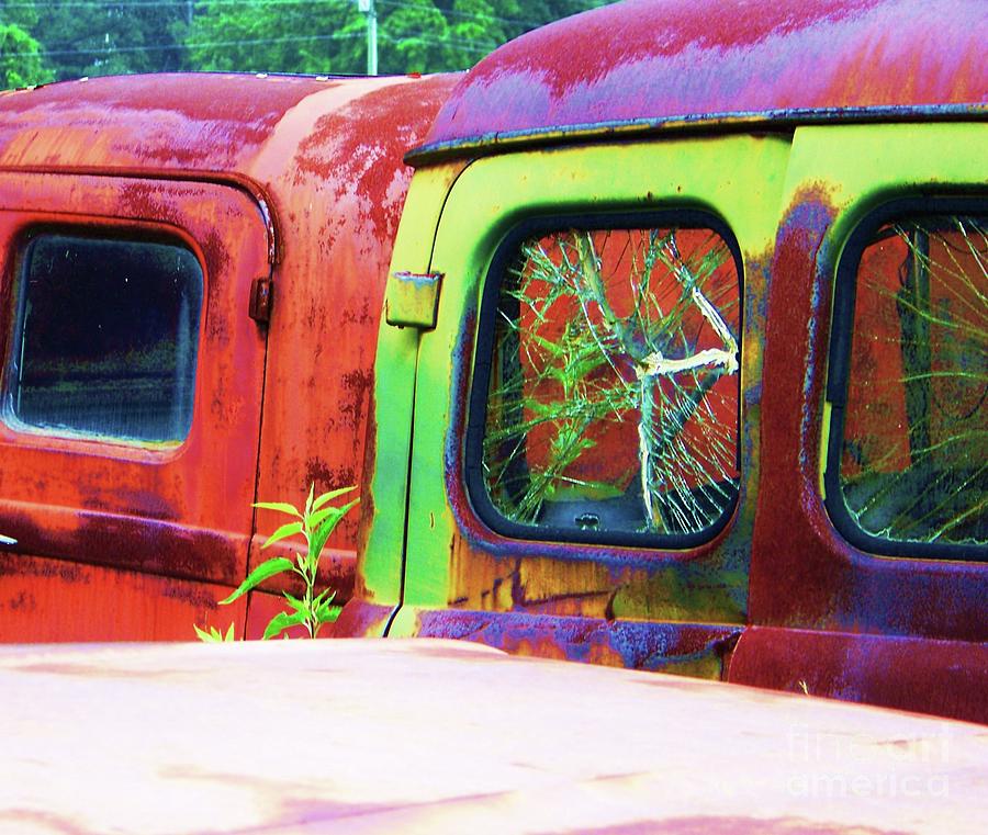 Van Doors Photograph