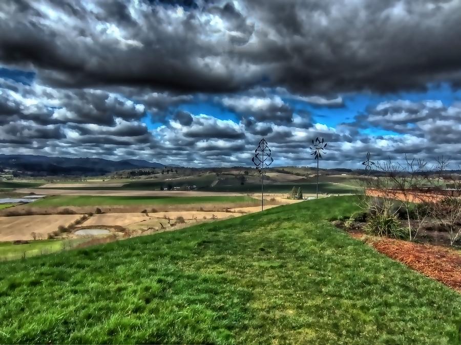 View From The Van Duzer Vineyards  Photograph by Thom Zehrfeld