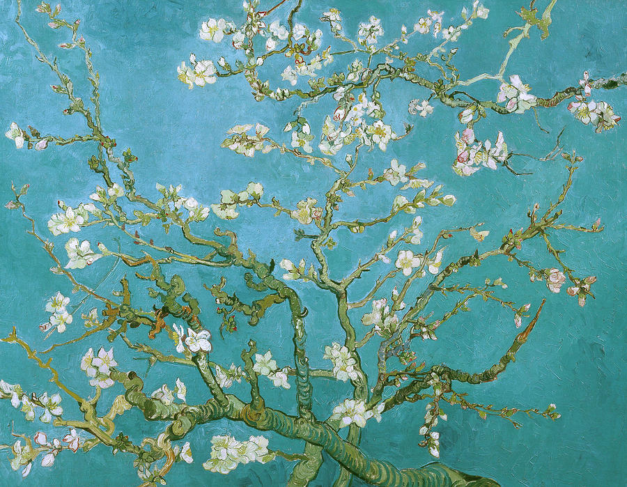 Vincent Van Gogh Painting - Van Gogh Blossoming Almond Tree by Vincent Van Gogh