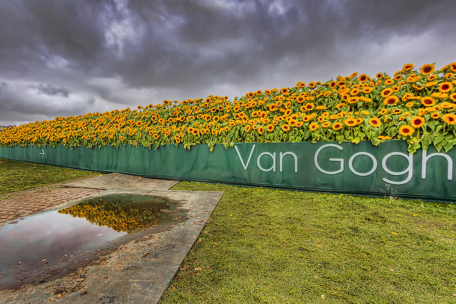Van Gogh Sunflowers Photograph by Nadia Sanowar